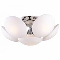 Потолочная люстра Arte Lamp Soffione A2550PL-6CC фото Потолочная люстра Arte Lamp Soffione A2550PL-6CC. Фото №1