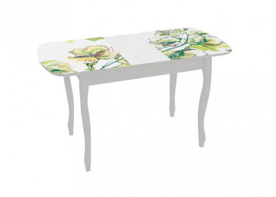 Стол обеденный Экстра 2. Фото