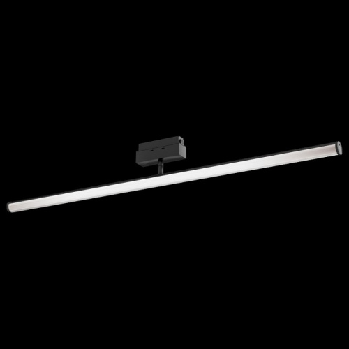 Светильник на штанге Maytoni Track lamps 3 TR026-2-14B4K. Фото №2