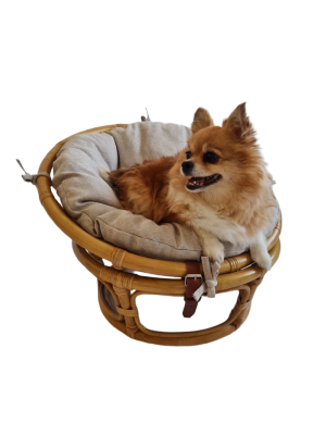 Кресло папасан - мини 23/01Е с подушкой, цвет: мёд фото Кресло папасан - мини 23/01Е с подушкой, цвет: мёд. Фото №2