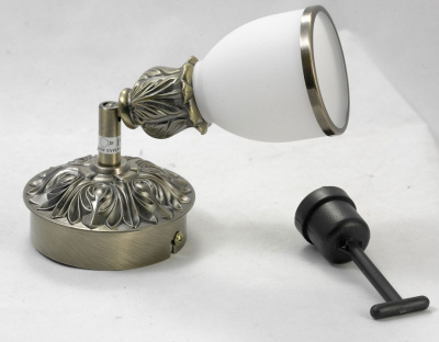 Спот Lussole Furlo GRLSL-7301-01. Фото