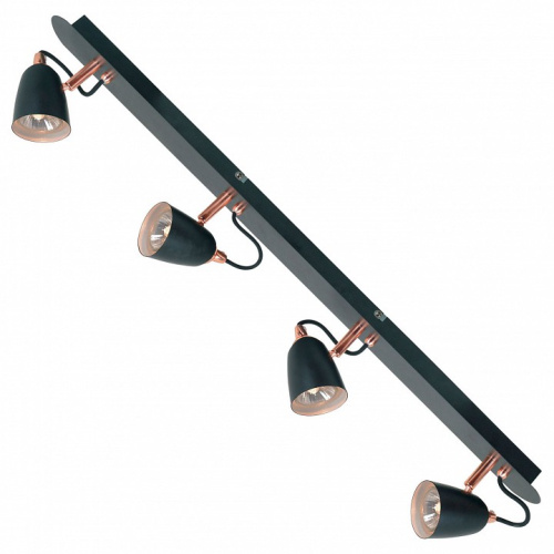 Спот Lussole New Frontino LSP-9854. Фото №1