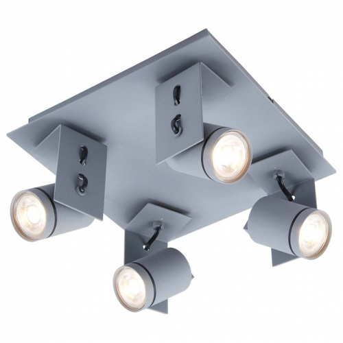 Спот Lussole Dillingham GRLSP-8024. Фото №1