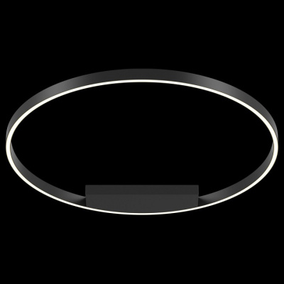 Накладной светильник Maytoni Rim MOD058CL-L50B4K. Фото