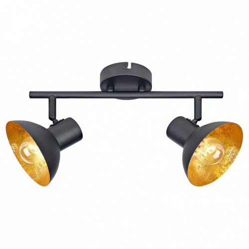 Спот Lussole Louisville LSP-9974. Фото №1