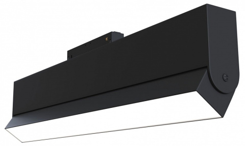 Накладной светильник Maytoni BASIS TR013-2-20W3K-B. Фото №1