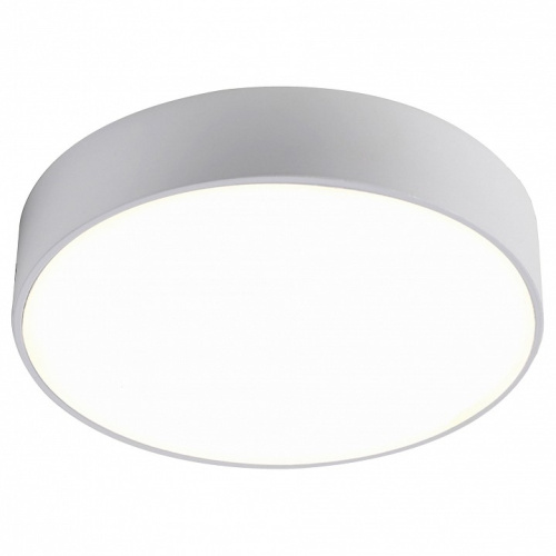 Накладной светильник Favourite Flashled 2065-24C. Фото №1