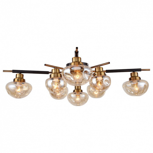 Потолочная люстра Lussole Oahe GRLSP-8142. Фото №1