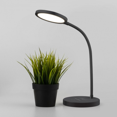 Настольная лампа офисная Elektrostandard Tiara a048743. Фото